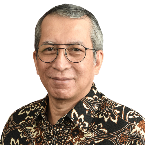 Dian Triansyah Djani